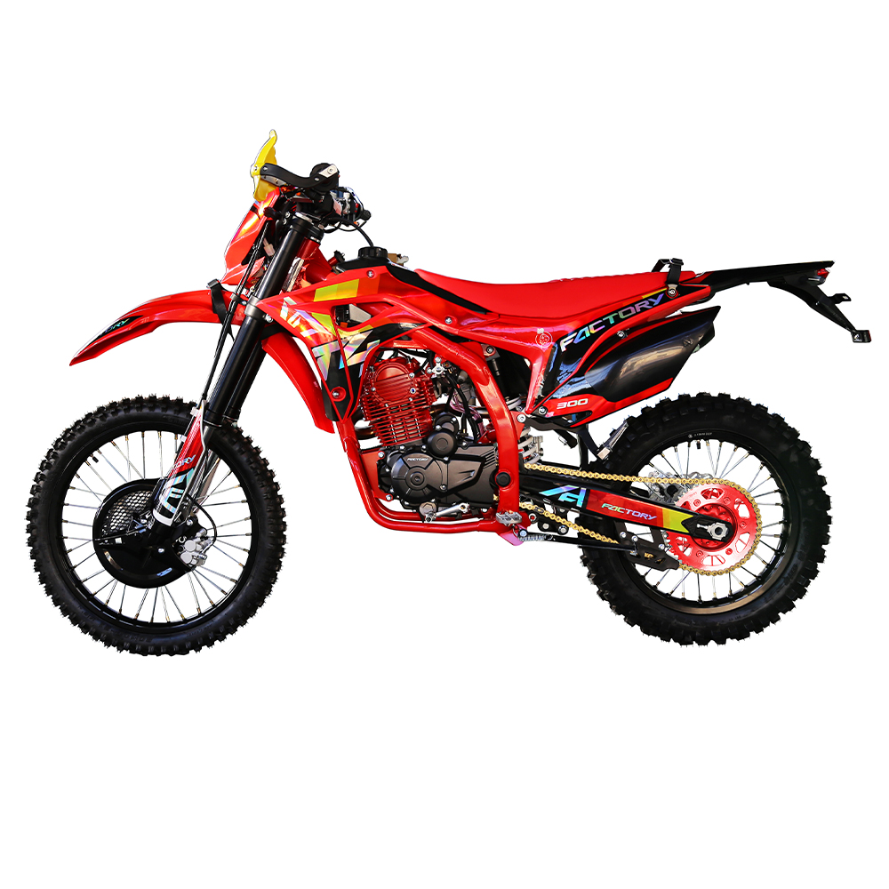 300cc 4 stroke shop dirt bike